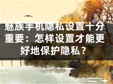 魅族手機(jī)隱私設(shè)置十分重要：怎樣設(shè)置才能更好地保護(hù)隱私？