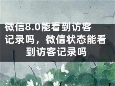 微信8.0能看到訪客記錄嗎，微信狀態(tài)能看到訪客記錄嗎