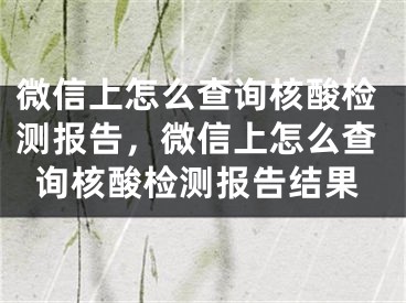 微信上怎么查詢核酸檢測(cè)報(bào)告，微信上怎么查詢核酸檢測(cè)報(bào)告結(jié)果