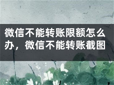 微信不能轉(zhuǎn)賬限額怎么辦，微信不能轉(zhuǎn)賬截圖