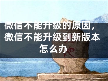 微信不能升級的原因，微信不能升級到新版本怎么辦