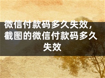 微信付款碼多久失效，截圖的微信付款碼多久失效