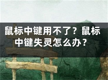 鼠標中鍵用不了？鼠標中鍵失靈怎么辦？