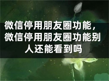 微信停用朋友圈功能，微信停用朋友圈功能別人還能看到嗎