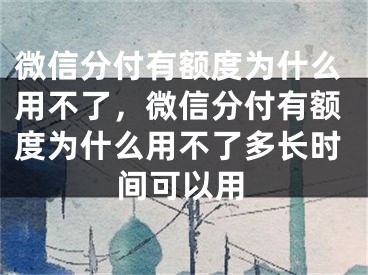 微信分付有額度為什么用不了，微信分付有額度為什么用不了多長時間可以用