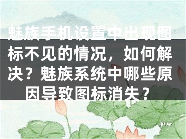 魅族手機設(shè)置中出現(xiàn)圖標(biāo)不見的情況，如何解決？魅族系統(tǒng)中哪些原因?qū)е聢D標(biāo)消失？