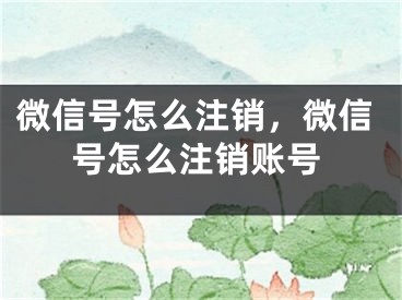 微信號怎么注銷，微信號怎么注銷賬號