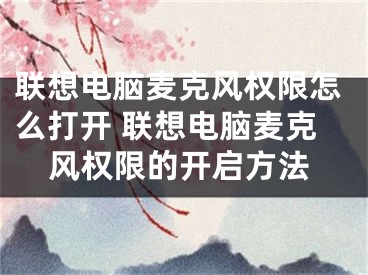 聯(lián)想電腦麥克風(fēng)權(quán)限怎么打開(kāi) 聯(lián)想電腦麥克風(fēng)權(quán)限的開(kāi)啟方法