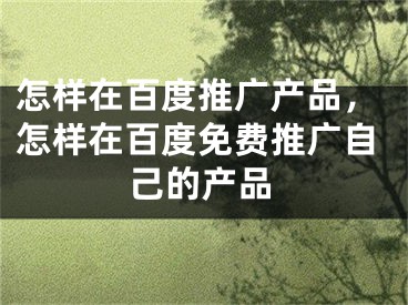 怎樣在百度推廣產(chǎn)品，怎樣在百度免費推廣自己的產(chǎn)品