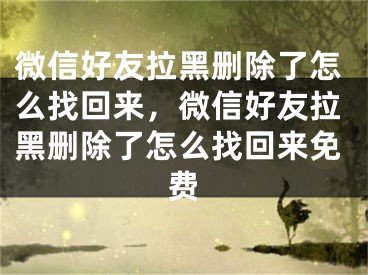 微信好友拉黑刪除了怎么找回來，微信好友拉黑刪除了怎么找回來免費(fèi)