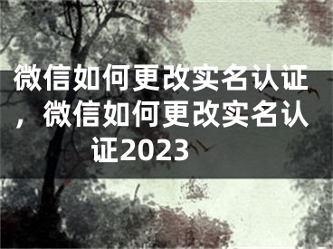 微信如何更改實名認證，微信如何更改實名認證2023