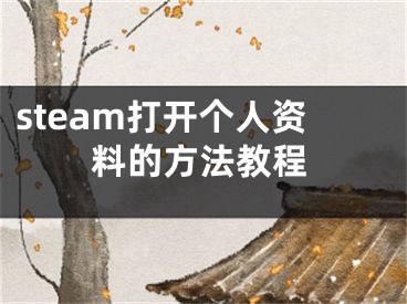 steam打開(kāi)個(gè)人資料的方法教程