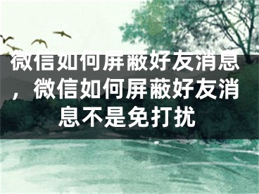 微信如何屏蔽好友消息，微信如何屏蔽好友消息不是免打擾