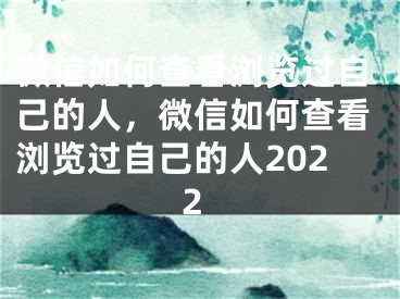 微信如何查看瀏覽過自己的人，微信如何查看瀏覽過自己的人2022