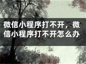 微信小程序打不開，微信小程序打不開怎么辦