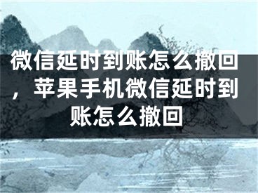 微信延時(shí)到賬怎么撤回，蘋果手機(jī)微信延時(shí)到賬怎么撤回