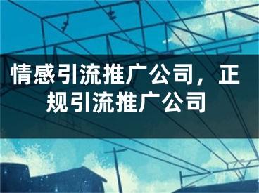 情感引流推廣公司，正規(guī)引流推廣公司