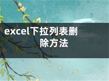 excel下拉列表刪除方法