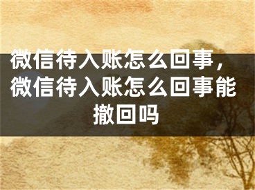 微信待入賬怎么回事，微信待入賬怎么回事能撤回嗎