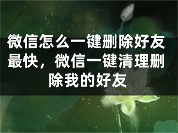 微信怎么一鍵刪除好友最快，微信一鍵清理刪除我的好友