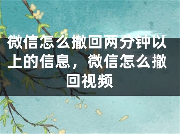 微信怎么撤回兩分鐘以上的信息，微信怎么撤回視頻