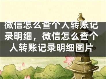 微信怎么查個(gè)人轉(zhuǎn)賬記錄明細(xì)，微信怎么查個(gè)人轉(zhuǎn)賬記錄明細(xì)圖片