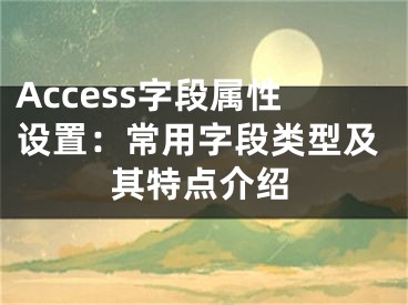 Access字段屬性設(shè)置：常用字段類型及其特點(diǎn)介紹