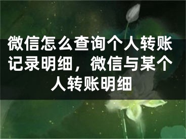 微信怎么查詢個(gè)人轉(zhuǎn)賬記錄明細(xì)，微信與某個(gè)人轉(zhuǎn)賬明細(xì)