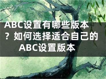 ABC設(shè)置有哪些版本？如何選擇適合自己的ABC設(shè)置版本