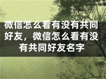 微信怎么看有沒有共同好友，微信怎么看有沒有共同好友名字