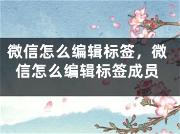 微信怎么編輯標(biāo)簽，微信怎么編輯標(biāo)簽成員