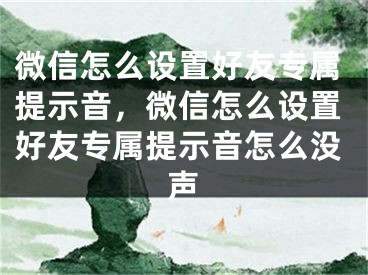 微信怎么設(shè)置好友專屬提示音，微信怎么設(shè)置好友專屬提示音怎么沒聲