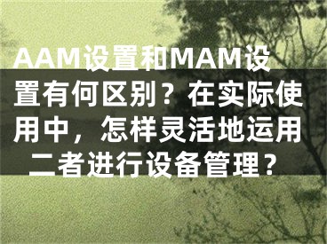 AAM設(shè)置和MAM設(shè)置有何區(qū)別？在實(shí)際使用中，怎樣靈活地運(yùn)用二者進(jìn)行設(shè)備管理？