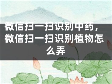 微信掃一掃識別中藥，微信掃一掃識別植物怎么弄