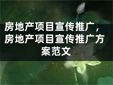 房地產(chǎn)項目宣傳推廣，房地產(chǎn)項目宣傳推廣方案范文