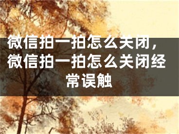 微信拍一拍怎么關(guān)閉，微信拍一拍怎么關(guān)閉經(jīng)常誤觸