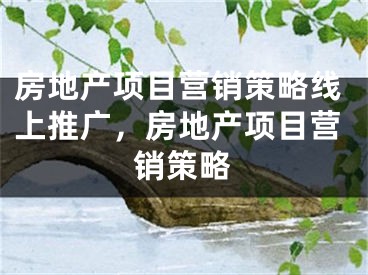 房地產(chǎn)項目營銷策略線上推廣，房地產(chǎn)項目營銷策略