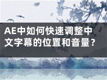 AE中如何快速調(diào)整中文字幕的位置和音量？