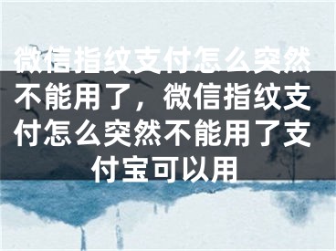 微信指紋支付怎么突然不能用了，微信指紋支付怎么突然不能用了支付寶可以用