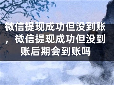 微信提現(xiàn)成功但沒到賬，微信提現(xiàn)成功但沒到賬后期會到賬嗎