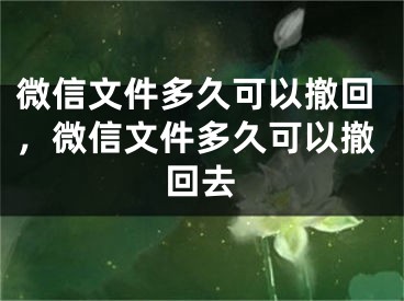 微信文件多久可以撤回，微信文件多久可以撤回去