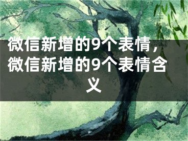 微信新增的9個表情，微信新增的9個表情含義