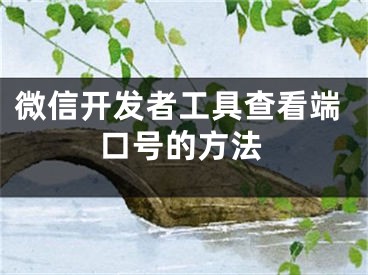 微信開發(fā)者工具查看端口號的方法