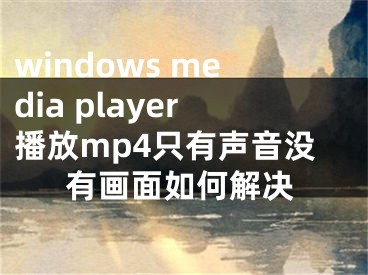 windows media player播放mp4只有聲音沒有畫面如何解決