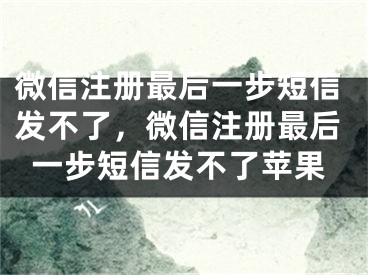 微信注冊最后一步短信發(fā)不了，微信注冊最后一步短信發(fā)不了蘋果