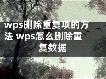 wps刪除重復(fù)項(xiàng)的方法 wps怎么刪除重復(fù)數(shù)據(jù)