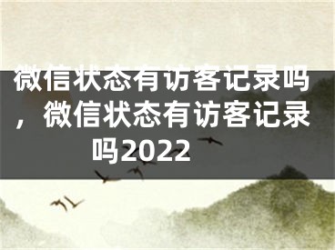 微信狀態(tài)有訪客記錄嗎，微信狀態(tài)有訪客記錄嗎2022