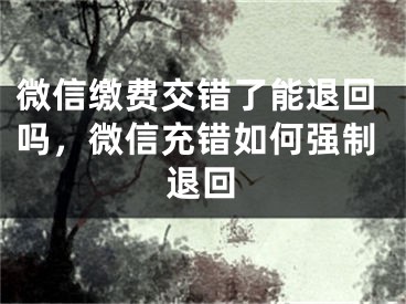 微信繳費(fèi)交錯(cuò)了能退回嗎，微信充錯(cuò)如何強(qiáng)制退回