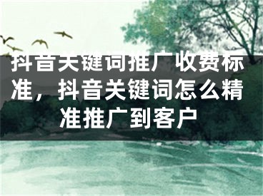 抖音關(guān)鍵詞推廣收費標準，抖音關(guān)鍵詞怎么精準推廣到客戶