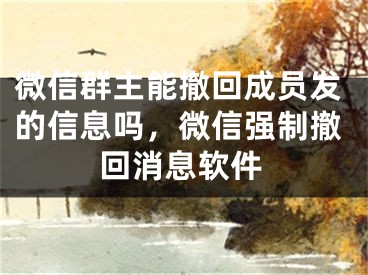 微信群主能撤回成員發(fā)的信息嗎，微信強(qiáng)制撤回消息軟件